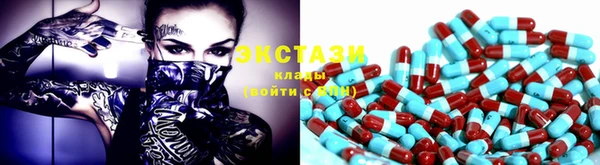 хмурый Ельня