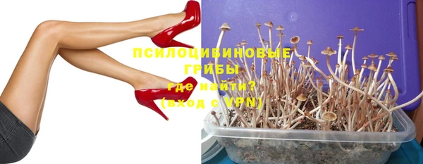 мет Алексин