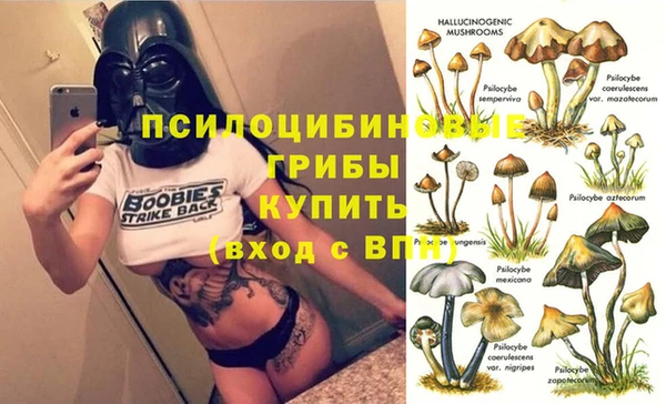 дурь Алзамай