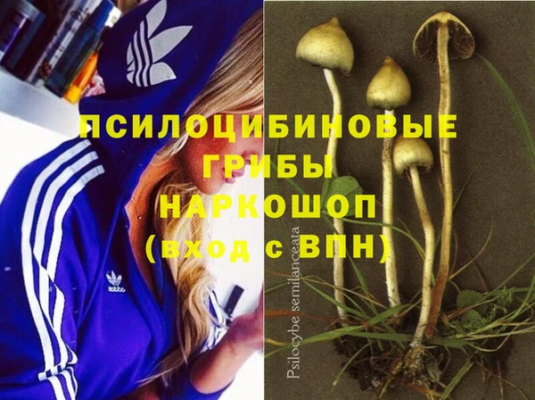 трава Алексеевка