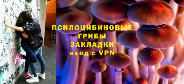 мет Алексин