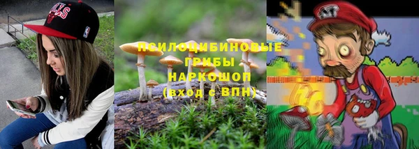 эйфоретик Елизово