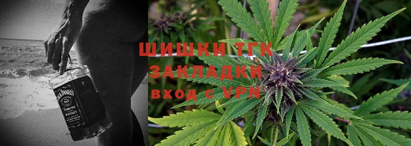 мет Алексин