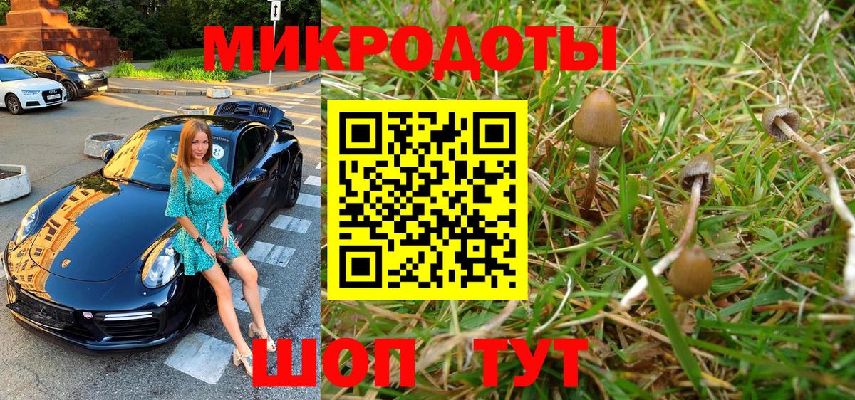 Петрозаводск  Псилоцибиновые грибы Magic Shrooms  Галлюциногенные грибы Psilocybine cubensis  Вход с VPN 