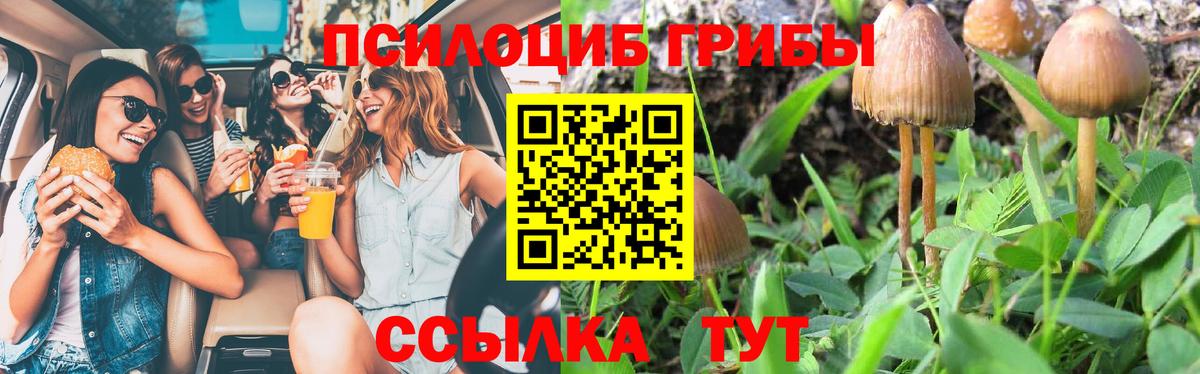 Псилоцибиновые грибы мухоморы Петрозаводск