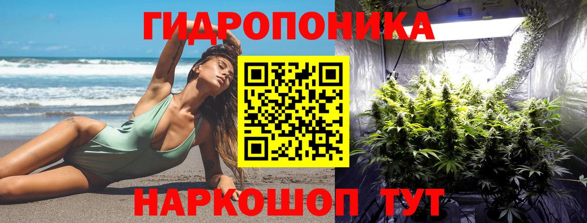 Шишки марихуана MAZAR  Бошки марихуана Amnesia  Вход с VPN  Шишки марихуана LSD WEED  Петрозаводск 